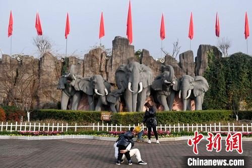 游人在长沙生态动物园内的大象雕像前拍照留念(资料图)。 杨华峰 摄
