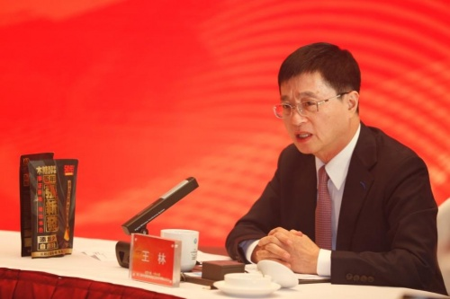 [中国民主促进会中央经济委员会副主任王林发言]