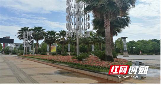 喜迎省运会 衡阳市种花卉36万余盆