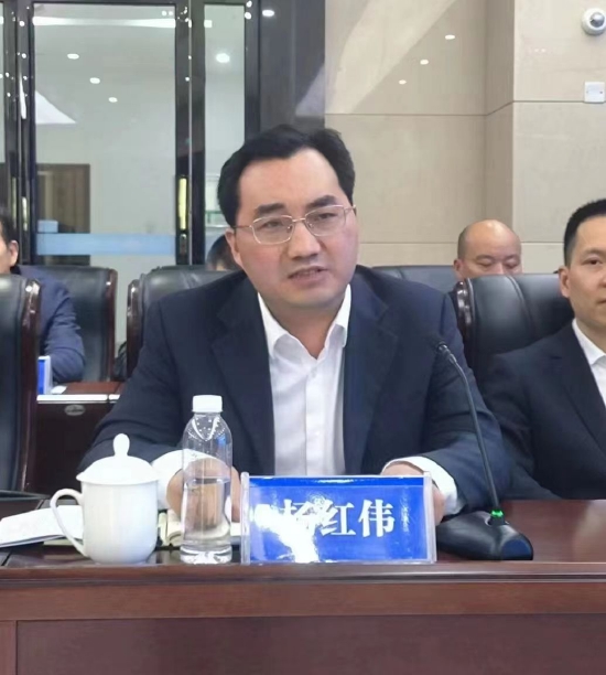 石门县副县长杨红伟介绍整治情况及效果