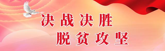 郴州社会扶贫工作纪实