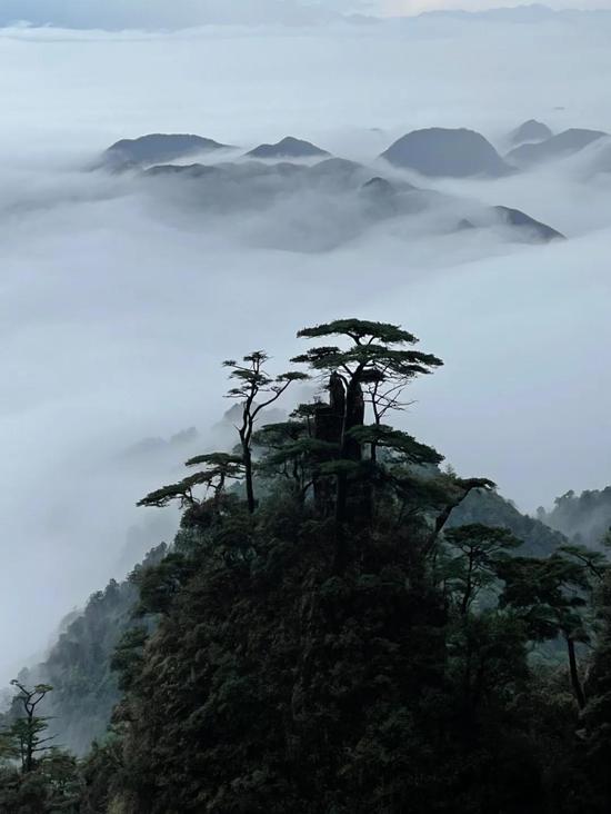 今天,莽山五指峰因你而美,各位女神 节日快乐!