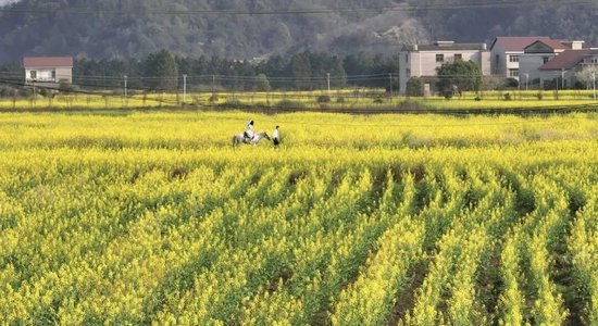 去长株潭，“跳”17个岛