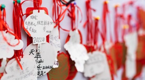 长沙华夏实验学校学生们的新年祝福