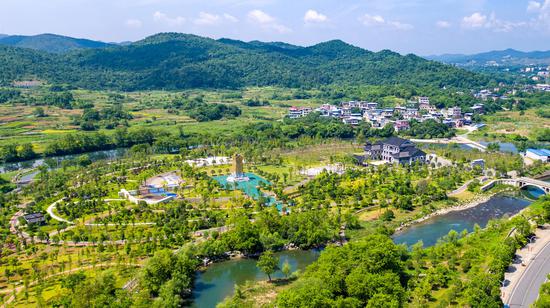 8月11日，绿意盎然的东安紫水湿地。王行响 摄