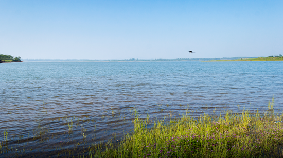 10。湖南毛里湖国际重要湿地