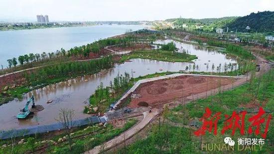 △滨江公司建设的湘江风光带湿地公园