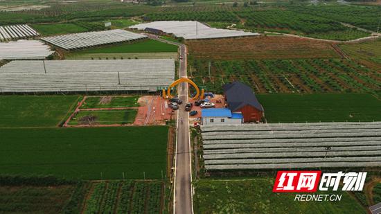 “人大代表扶贫工作基地”衡东县新塘镇潭泊现代农业产业示范园。