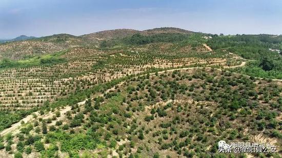 2018年度衡阳县十大新闻揭晓_衡阳频道_新浪