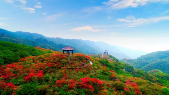 (湖南浏阳大围山国家森林公园)