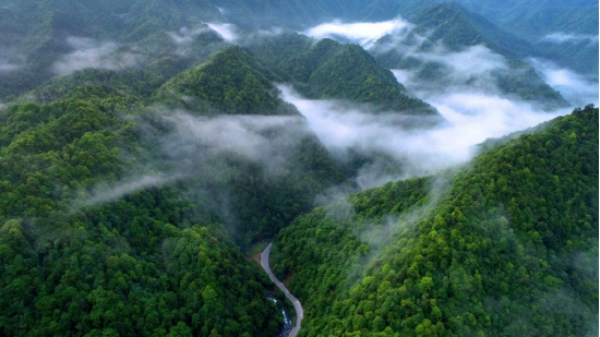 南山国家公园候选区两江峡谷