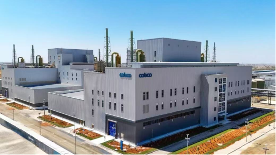 （图为湖南中伟控股集团有限公司厂房）