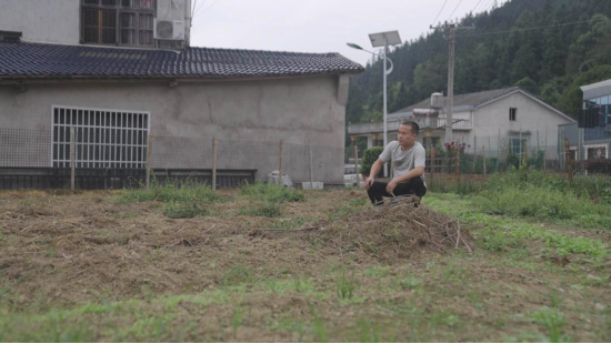 泊头村荒废田地