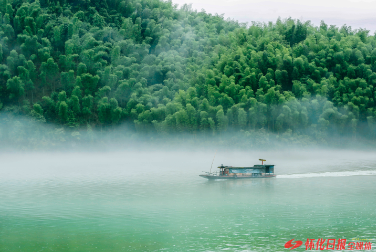 横岩竹海,绿意盎然,是怀化的一大自然奇观。(黄文胜 摄)
