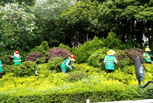 “城市美容师”——为城市“梳妆打扮”,提升城市品位