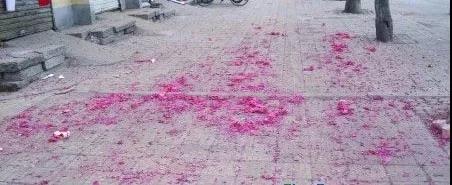 (照片来源网络)