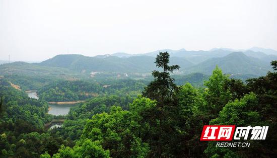位于衡阳市西南部的雨母山山清水秀。