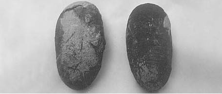 历史上的今天：11月5日