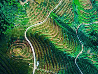 图源：邵东市农业农村局