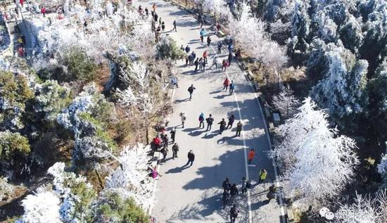 绿意与冰雪的结合,南岳雾凇让游客、摄影爱好者们兴奋不已。