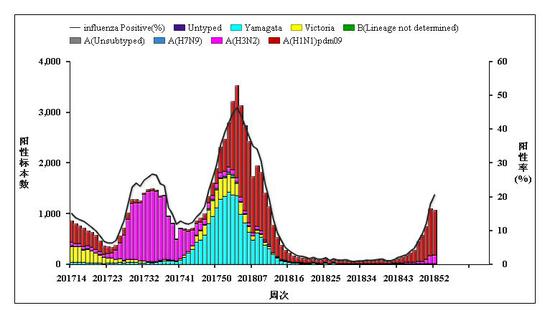 图3南方省份流感样病例标本检测结果