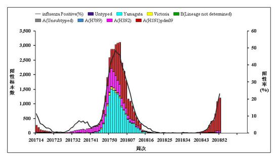 图4北方省份流感样病例标本检测结果