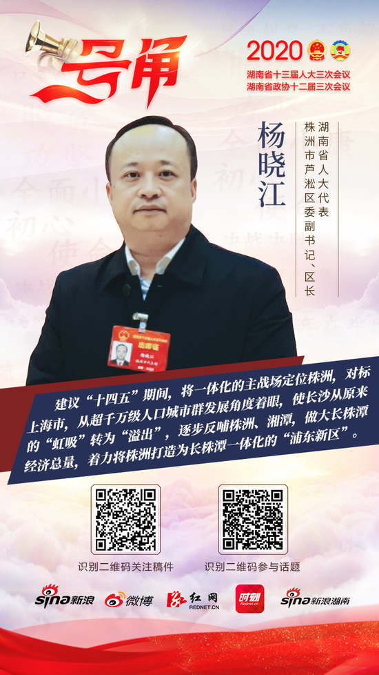 湖南省人大代表,株洲市芦淞区委副书记,区长杨晓江