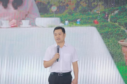 桑植县委副书记张冲为桑植白茶代言