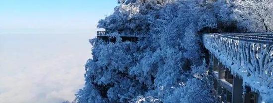 云海、蓝天、雪山。漫山的雾凇，美得不真实。