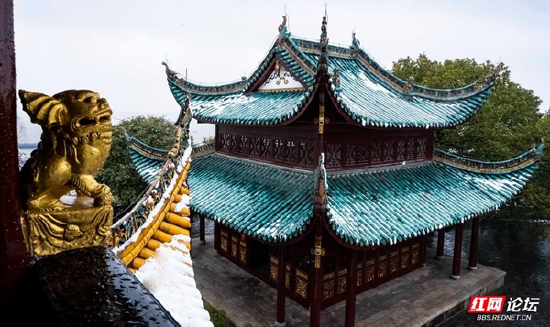 红墙白雪,别有一番意趣。(供图:@钱江潮)