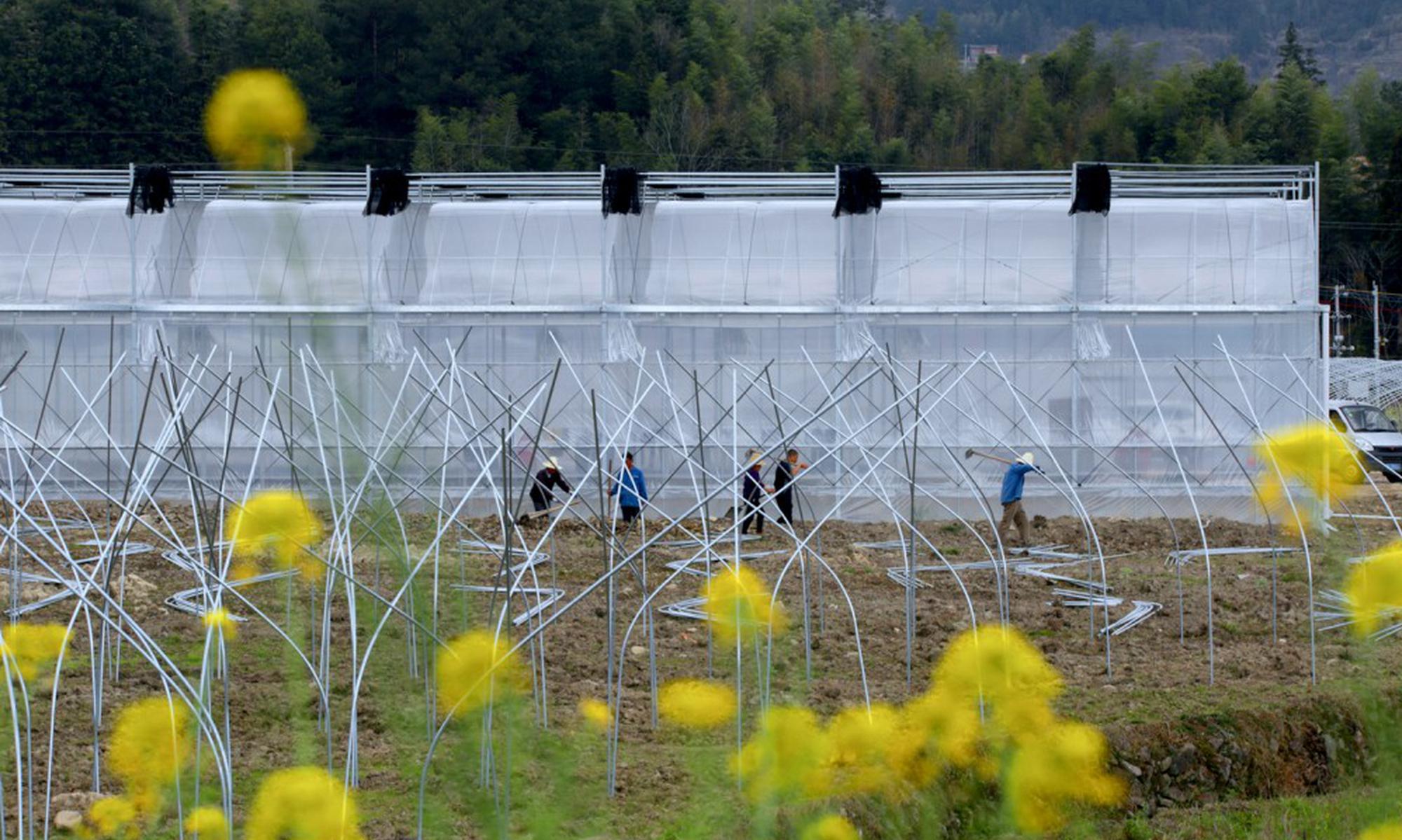 安置就业 助农增收