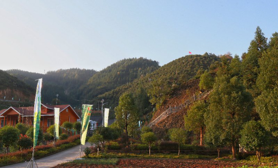 耒阳神农汤泉油茶庄园