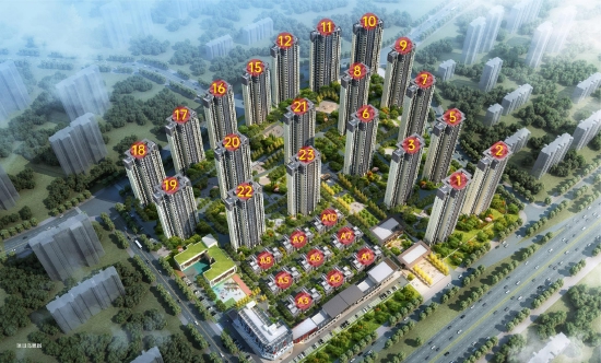 项目鸟瞰图
