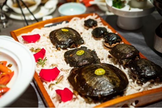 一家老少向前冲