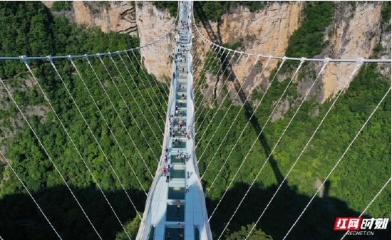 5月3日，不少游客走进张家界大峡谷风景区的高空玻璃桥上游览。吴勇兵 摄