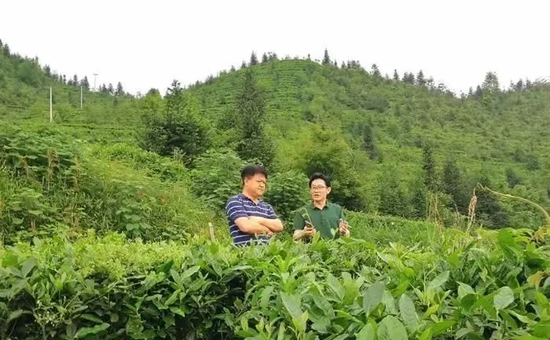 (图左为曹兴洪)