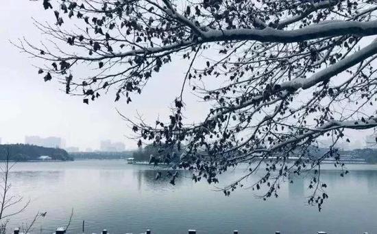 波光粼粼的湖畔，枯叶上挂着残雪，颇有些杭州西湖的韵味。