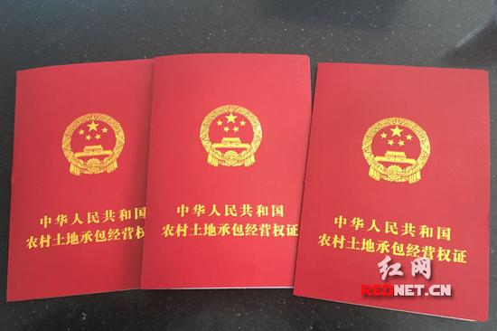 长沙跳马镇村民领到首批土地承包新 身份证