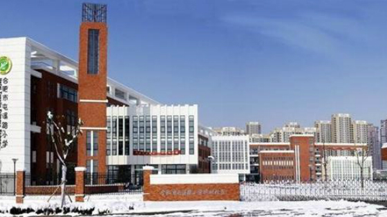 合肥惊现4.5万/㎡天价学区房