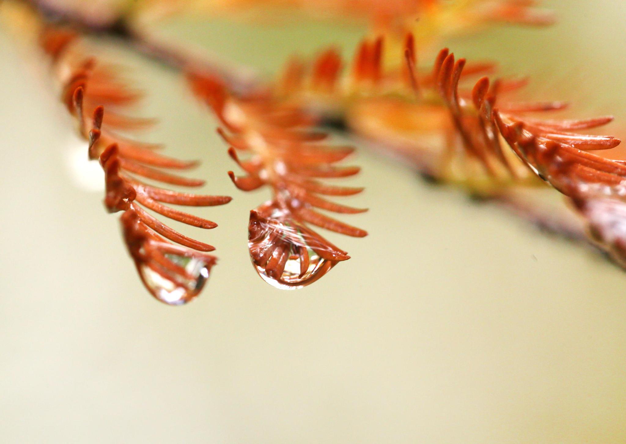 今日“小雪”不见雪 江苏全省开启晴冷模式