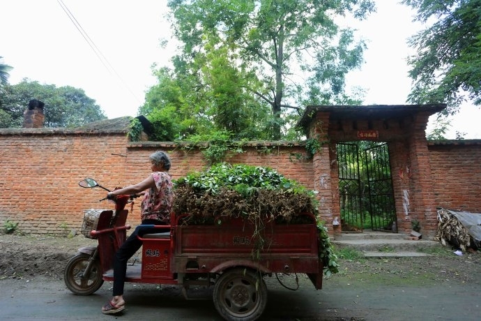 镇平有多少人口_镇平县不愧是玉都,全县面积不多人口已上百万