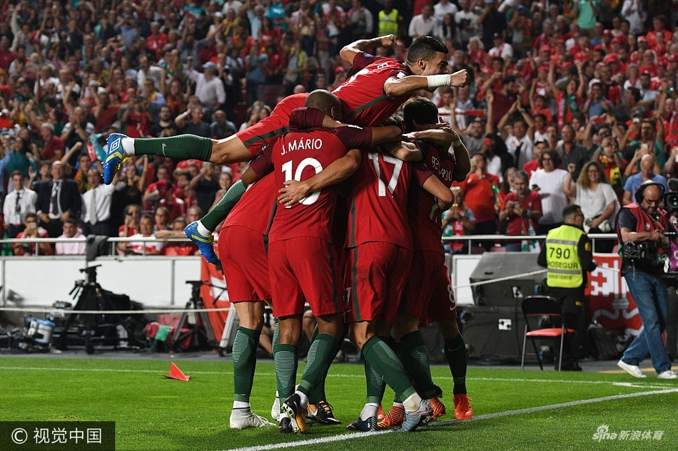世界杯预选赛欧洲区葡萄牙赛 p7KF-fymrcpu8707121.jpg