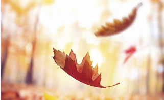 今年已有4位两院院士逝世