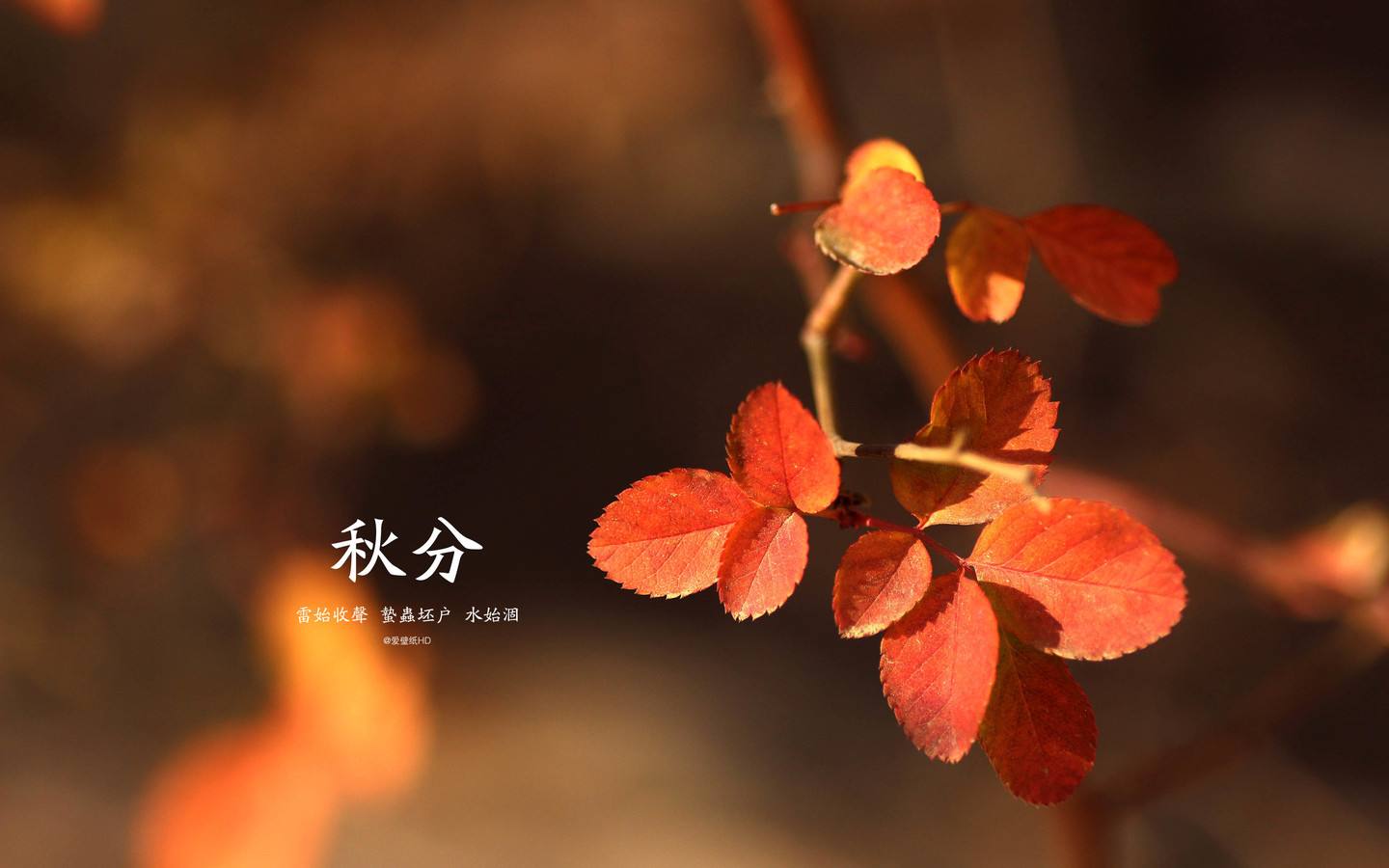 今天秋分！沿江和苏南有雾 未来几天冷空气将控制江苏