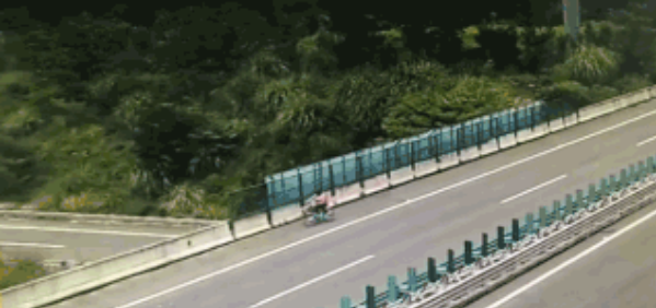 患精神病大妈骑车闯入高速 交警折腾3小时送其回家