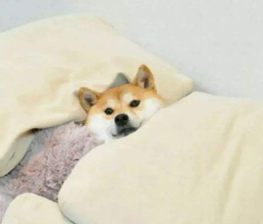 新一轮阴雨快递发货！雨雨雨，请你签收