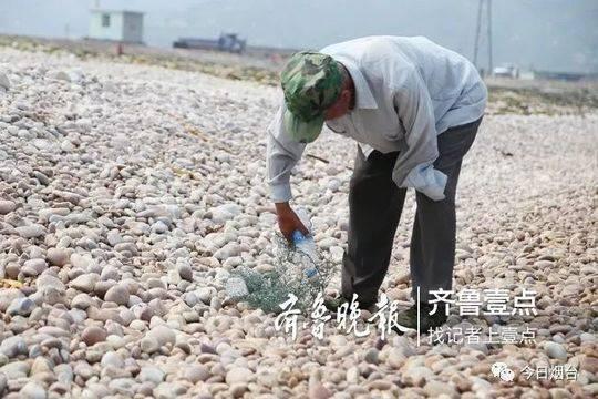 游客欲带走景区球石被阻发飙：门票140拿个石头咋了