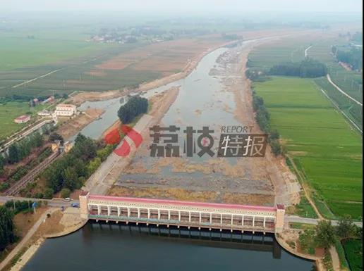 安徽泄洪下游不知情 致江苏泗洪内涝洪泽湖鱼蟹死亡