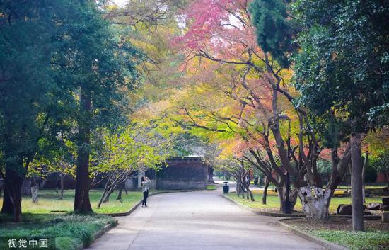 江苏最美高校图鉴 哪一座是你心目中最爱