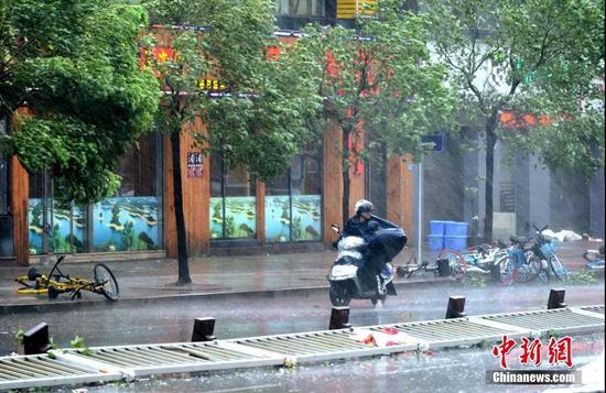 福建宁德市区风雨大作。王东明 摄